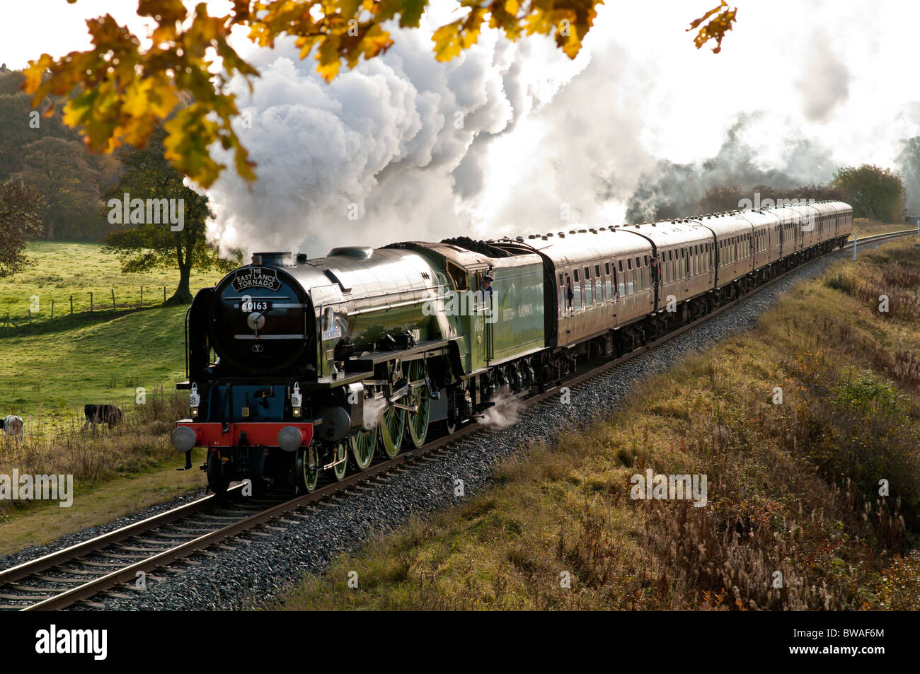 Tornado steam train passing through Burrs Country Park, Bury, Lancashire Stock Photo