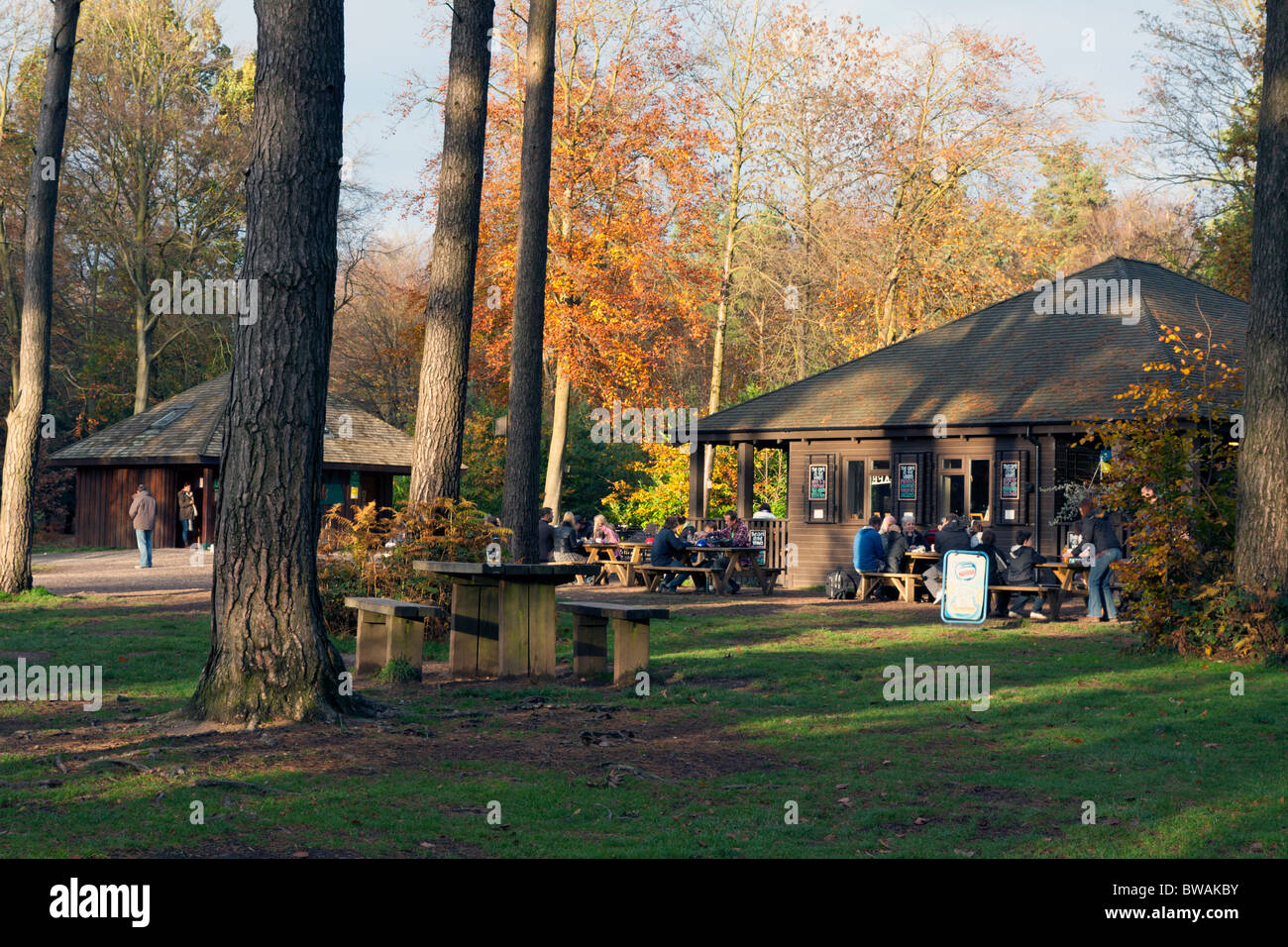 Cafe Wendover Woods Buckinghamshire Stock Photo Alamy