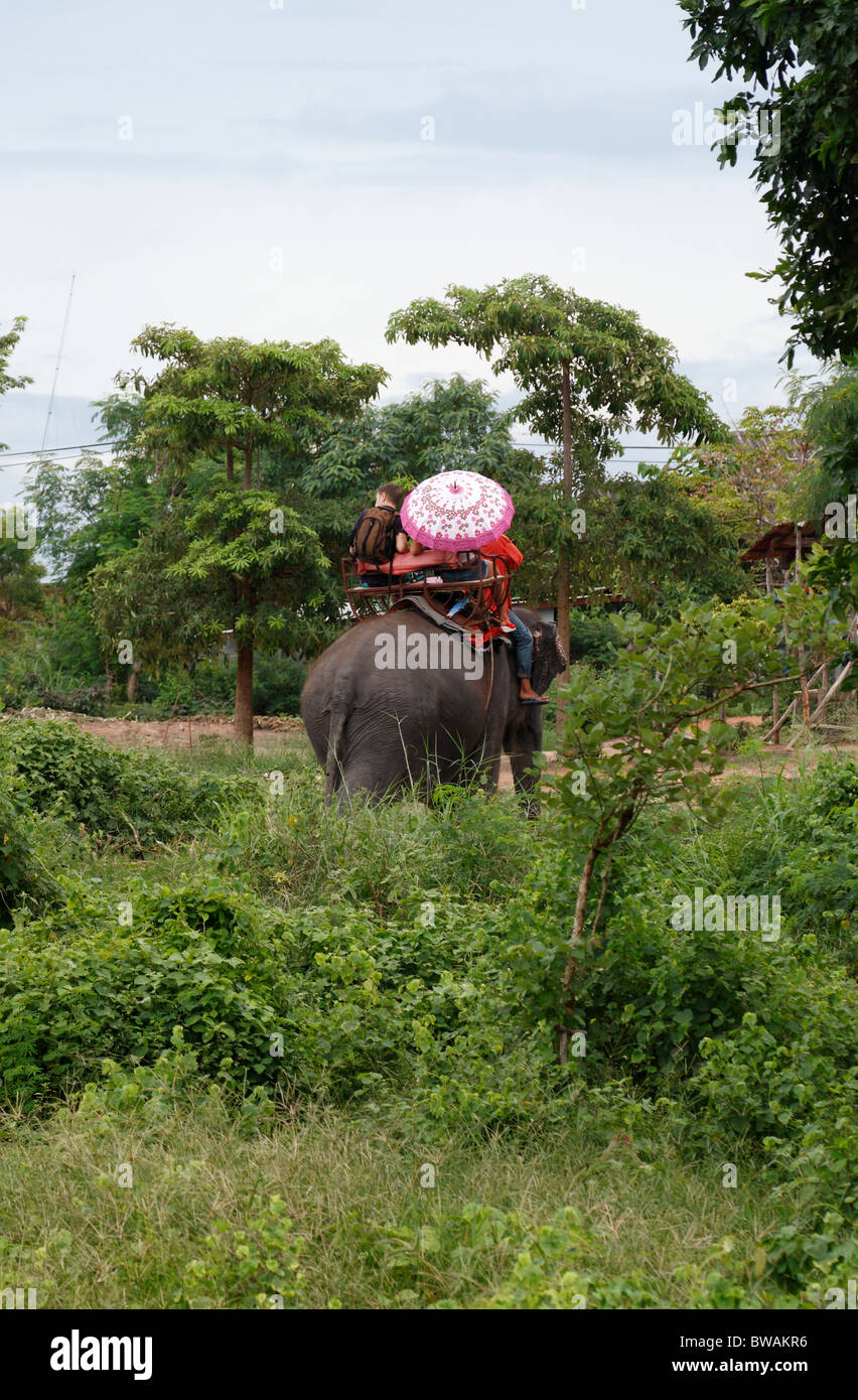 Elephant ride in thailand hi-res stock photography and images - Alamy
