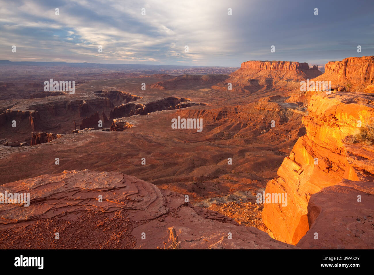 Canyonlands from White Rim Overlook, Island in the Sky unit, Canyonlands National Park, Utah Stock Photo