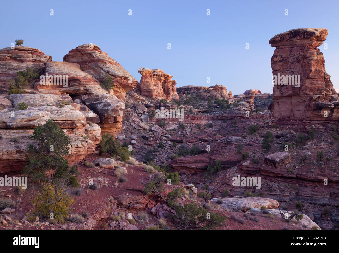 Big Spring Canyon, The Needles Unit, Canyonlands National Park, Utah Stock Photo