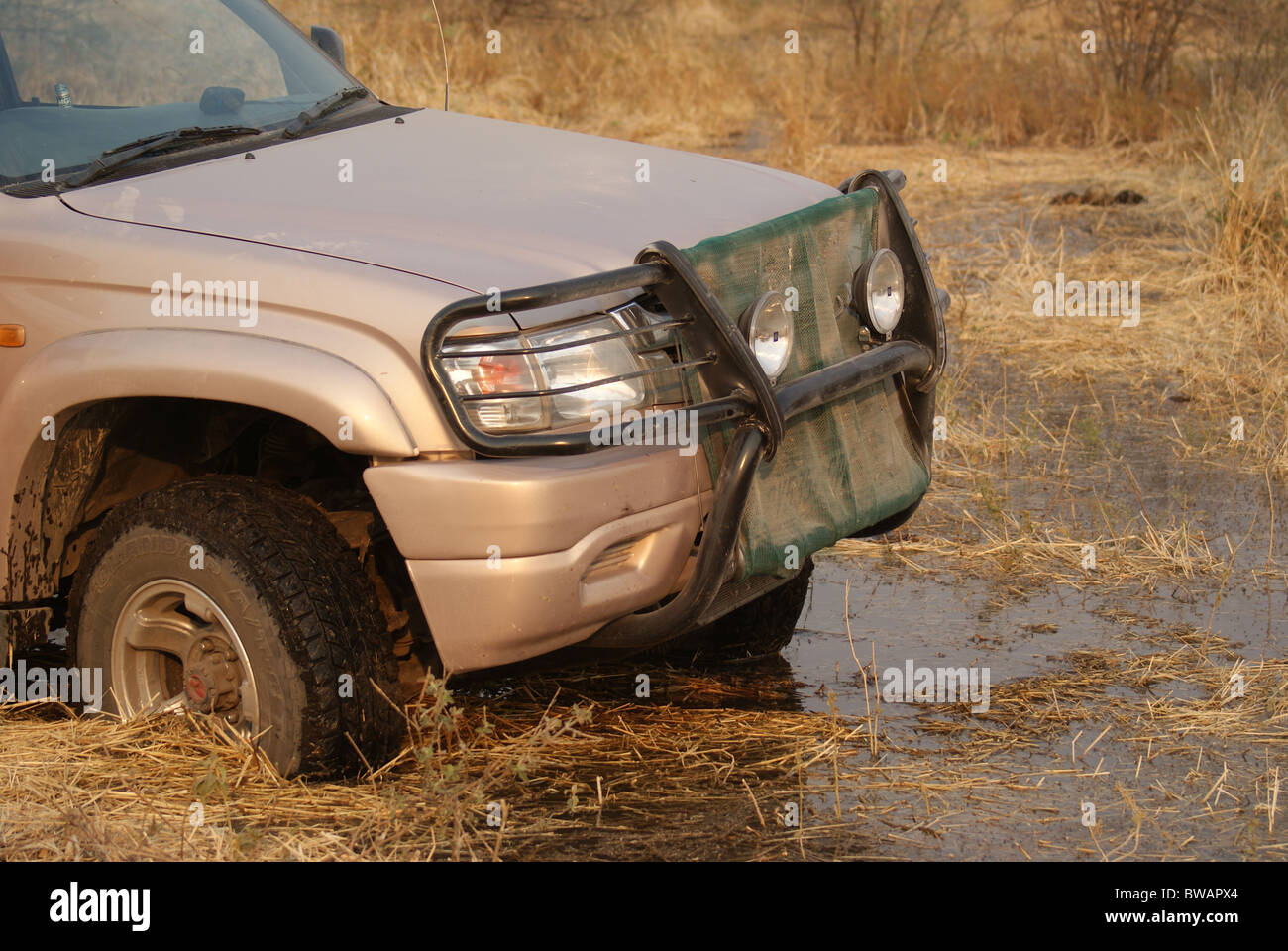 Cehicle stuck in mud in Botswana's Okavango Delta Stock Photo