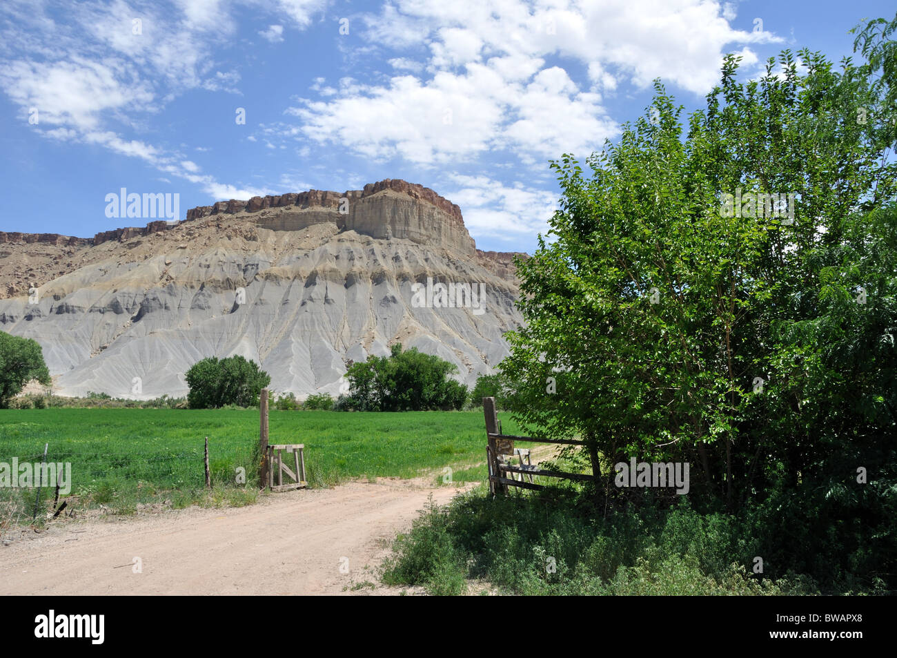 Desert agriculture hi-res stock photography and images - Alamy
