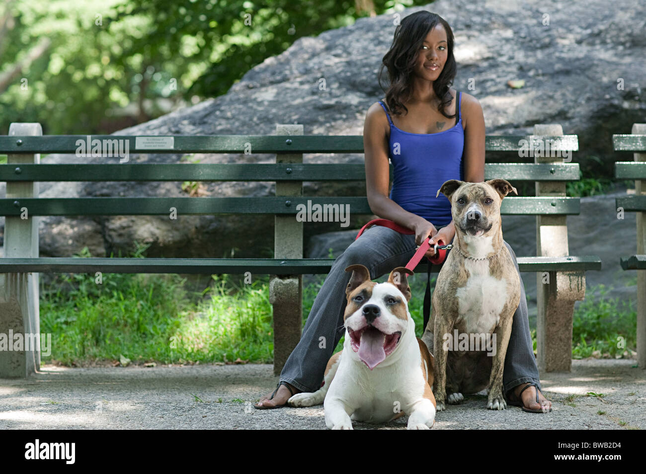 Woman sitting on park bench with her two dogs Stock Photo