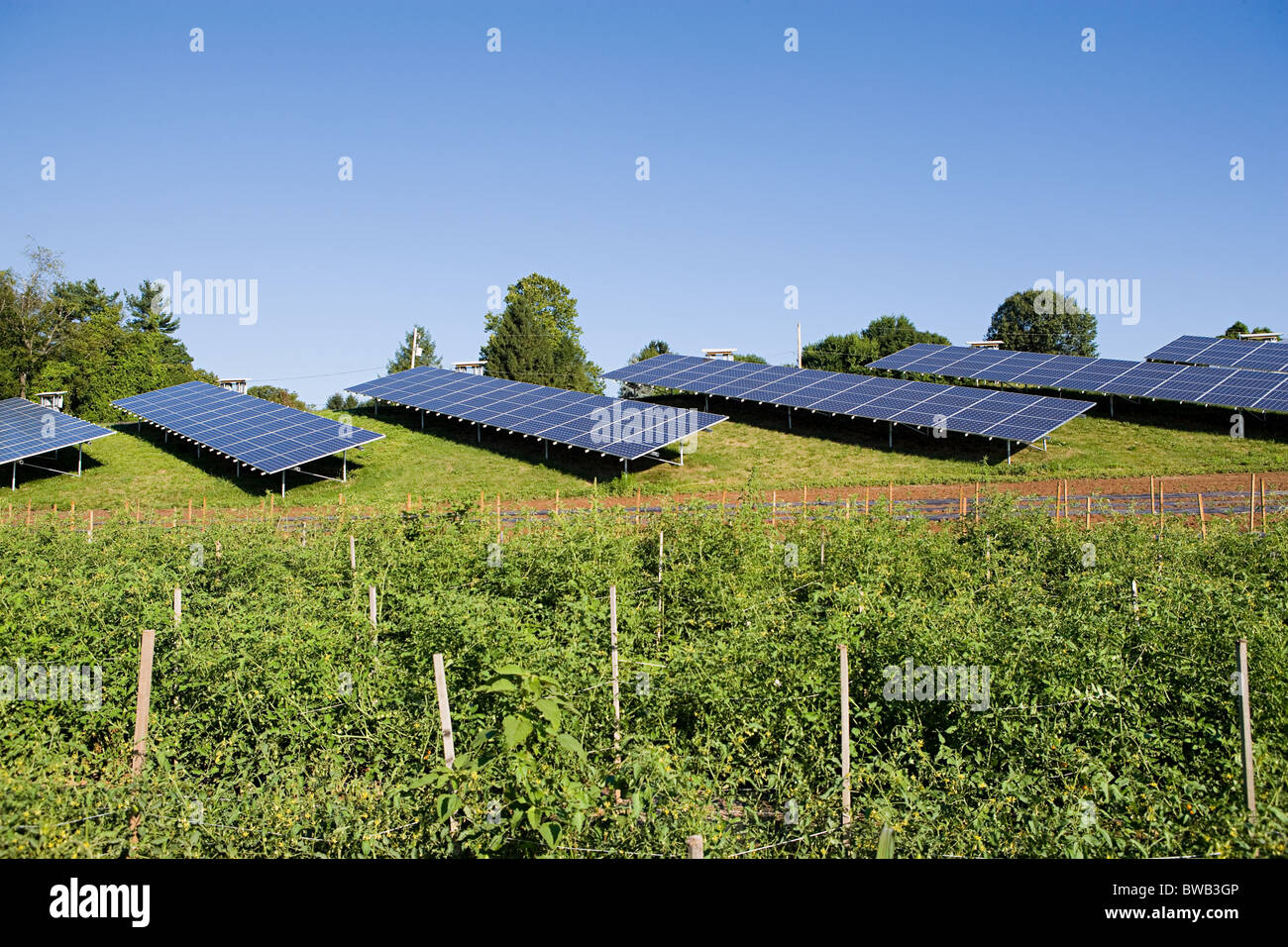 Solar panels in field, Pennsylvania Stock Photo Alamy