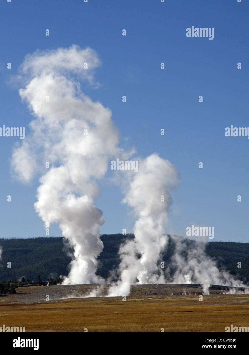 Steam rising over Midway Geyser Basin, Yellowstone Stock Photo