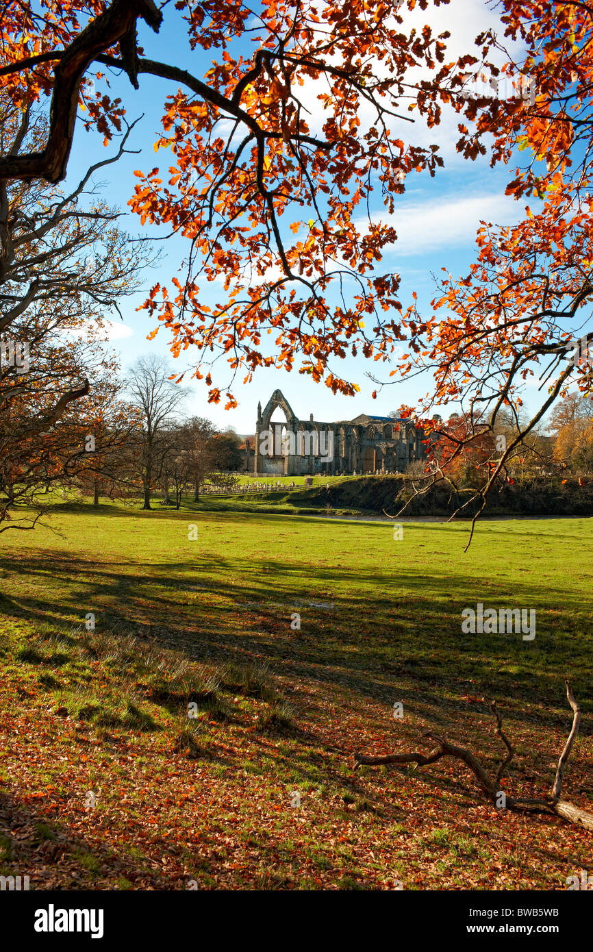 The ruins of Bolton Priory seen from the woods of Bolton Abbey, North Yorkshire, autumn Stock Photo