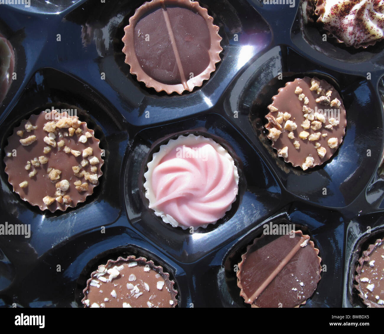 Handmade Irish Lir chocolates Stock Photo Alamy