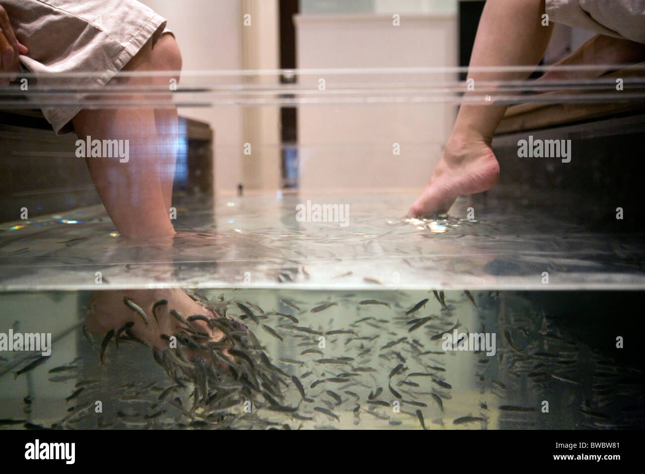 Doctor fish hi-res stock photography and images - Alamy