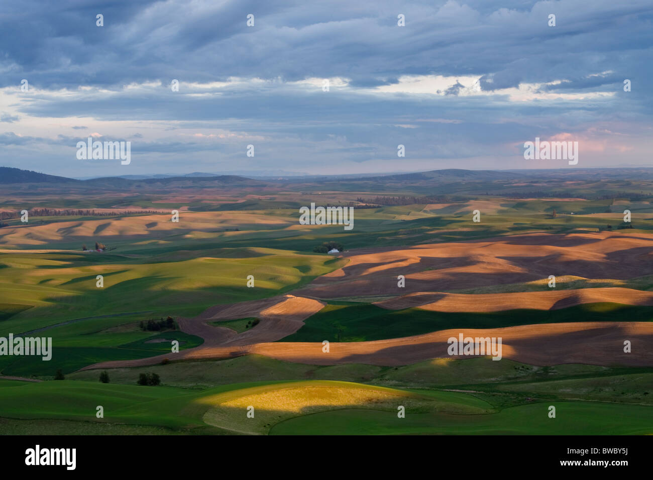 View from Steptoe Butte, Washington State USA Stock Photo