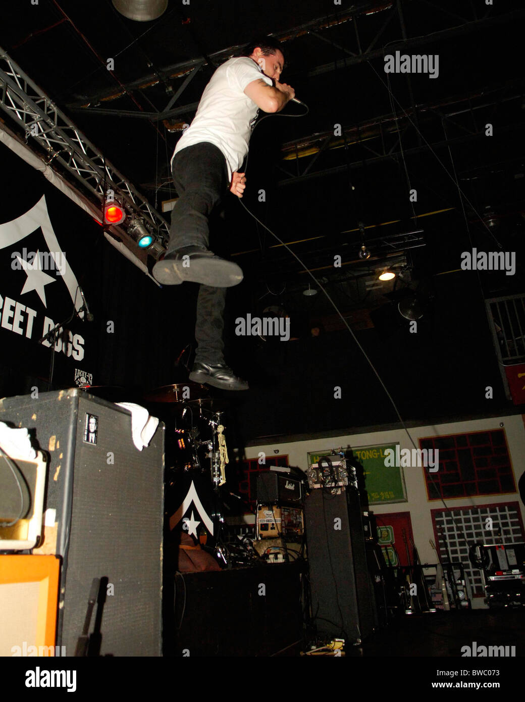 Bouncing Souls, Street Dogs, Whole Wheat Bread and Left Alone in Concert Stock Photo