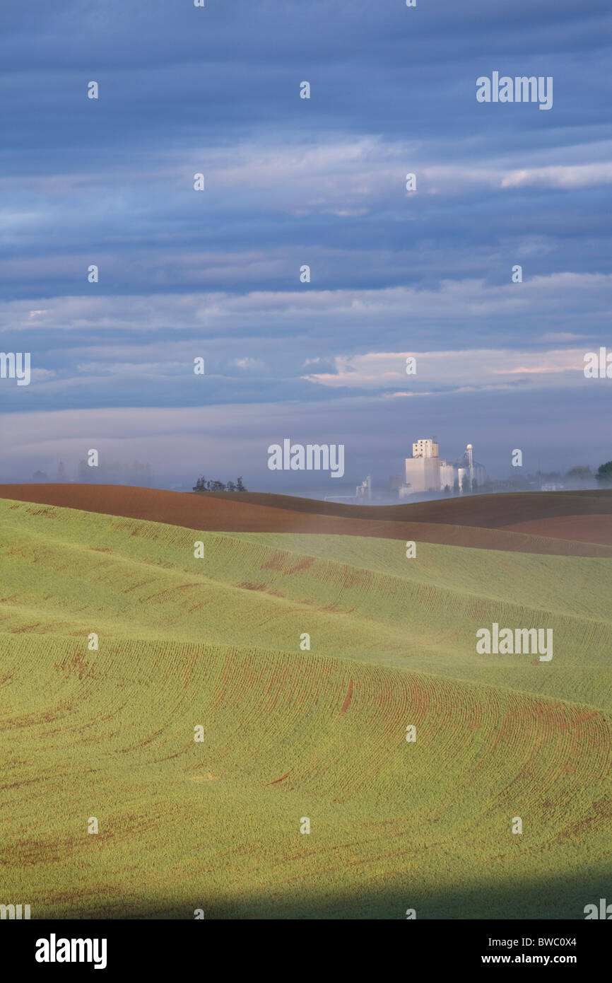 Grain silo at dawn, Palouse, Idaho, USA Stock Photo Alamy