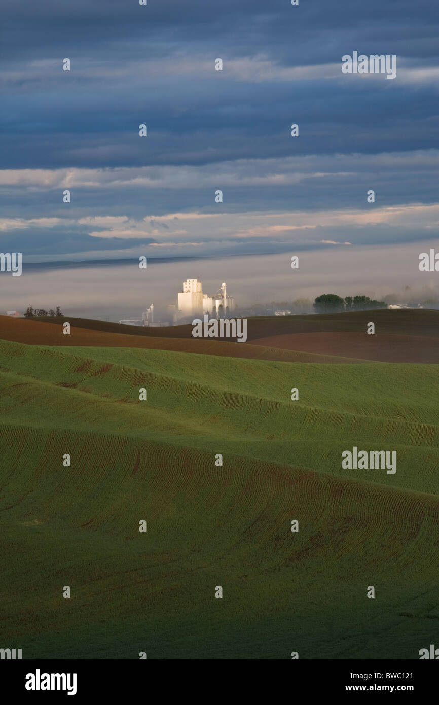 Grain silo at dawn, Palouse, Idaho, USA Stock Photo Alamy