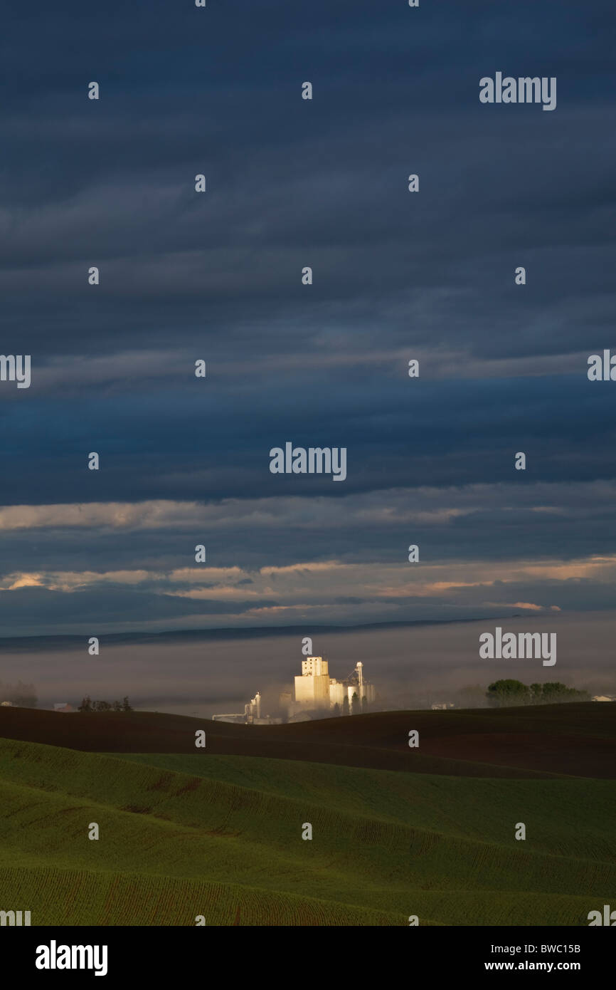 Grain silo at dawn, Palouse, Idaho, USA Stock Photo Alamy