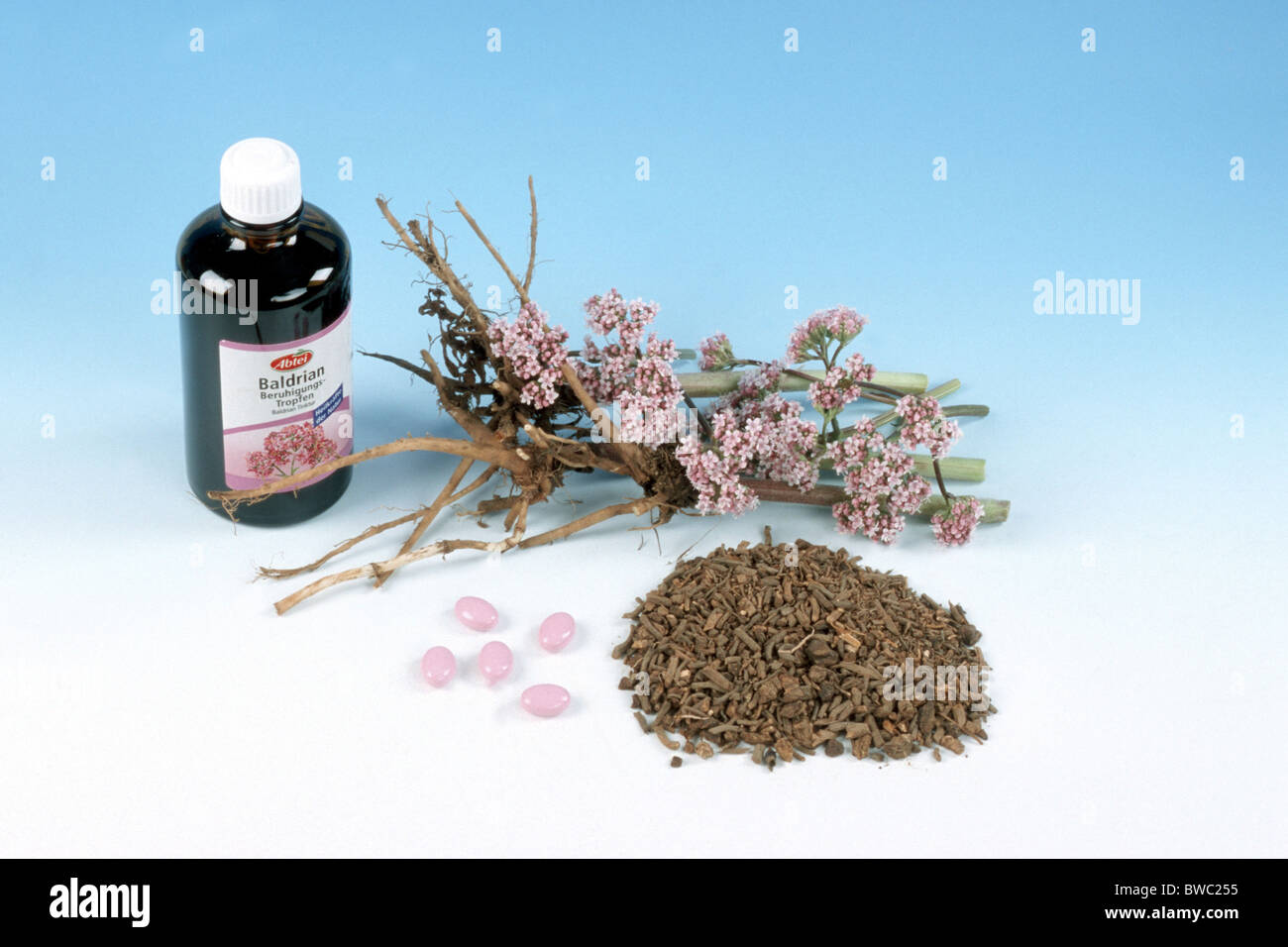 Mountain Valerian (Valeriana montana). Medicine bottle and tea-leaves, studio picture. Stock Photo