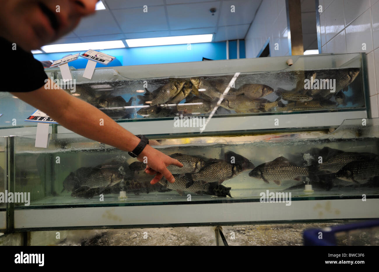 Live fishes are on sale in Tesco Qingdao, Shandong province, China. 11-Nov-2010 Stock Photo