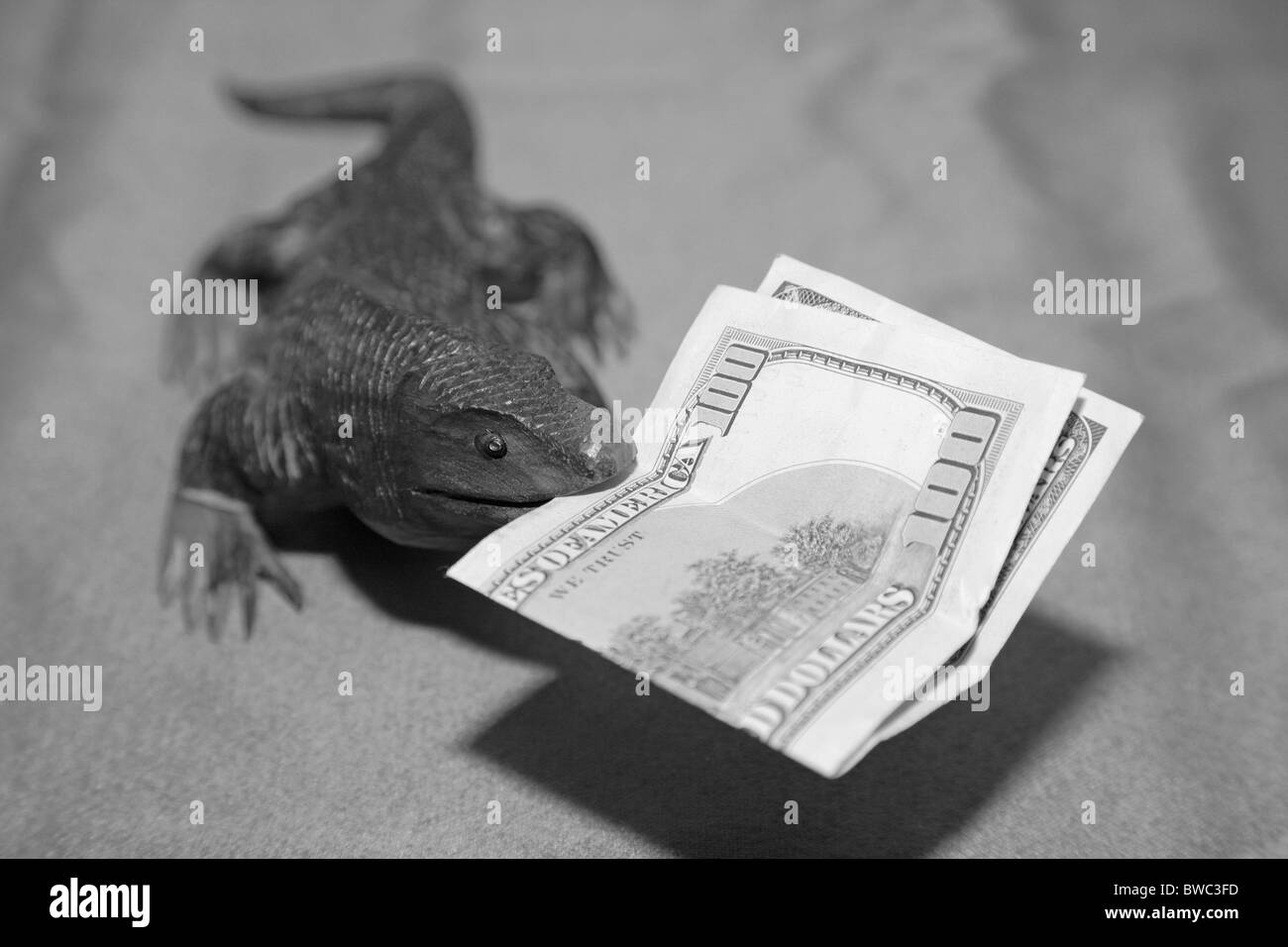 Wooden komodo dragon lizard souvenir carving biting US 100 dollar bill currency bank note in it's mouth Stock Photo
