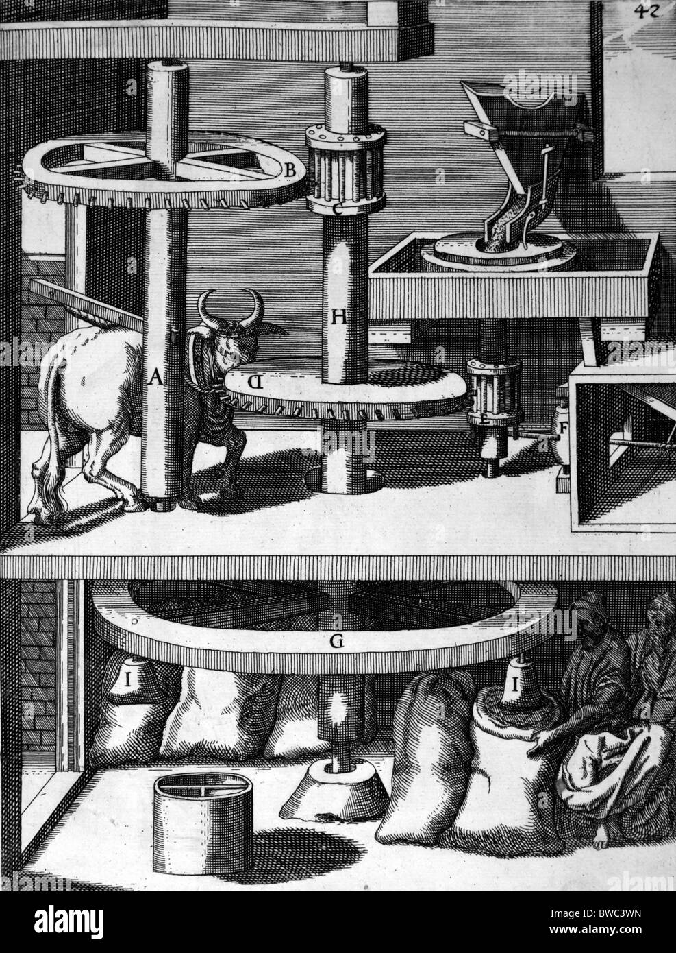 Illustration from Theatrum Machinarum Novum 1661 by Georg Andreas Böckler; Grain milling machine driven by Oxen Stock Photo