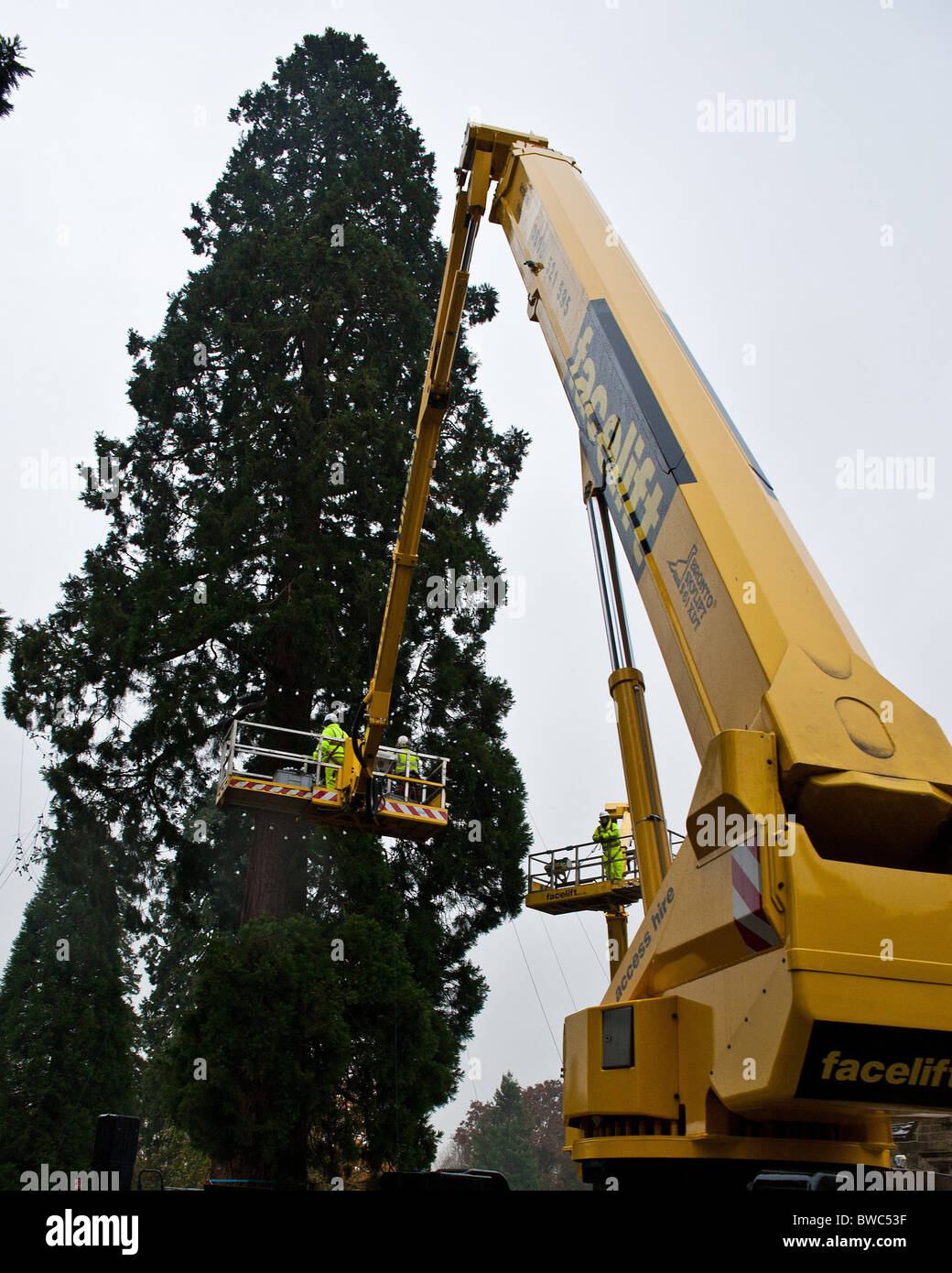Tallest christmas tree hires stock photography and images Alamy
