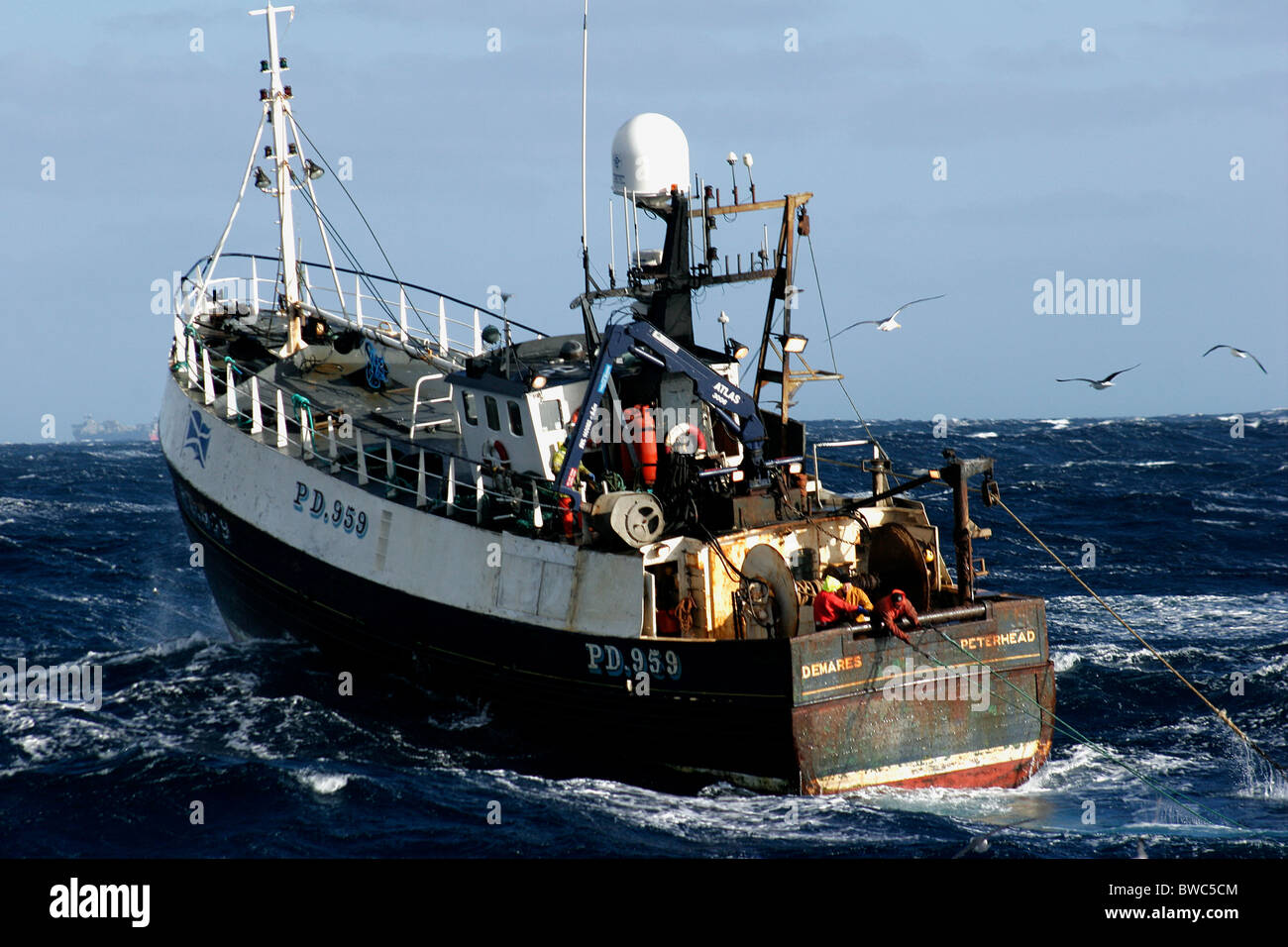 Cod fishing scotland hires stock photography and images Alamy