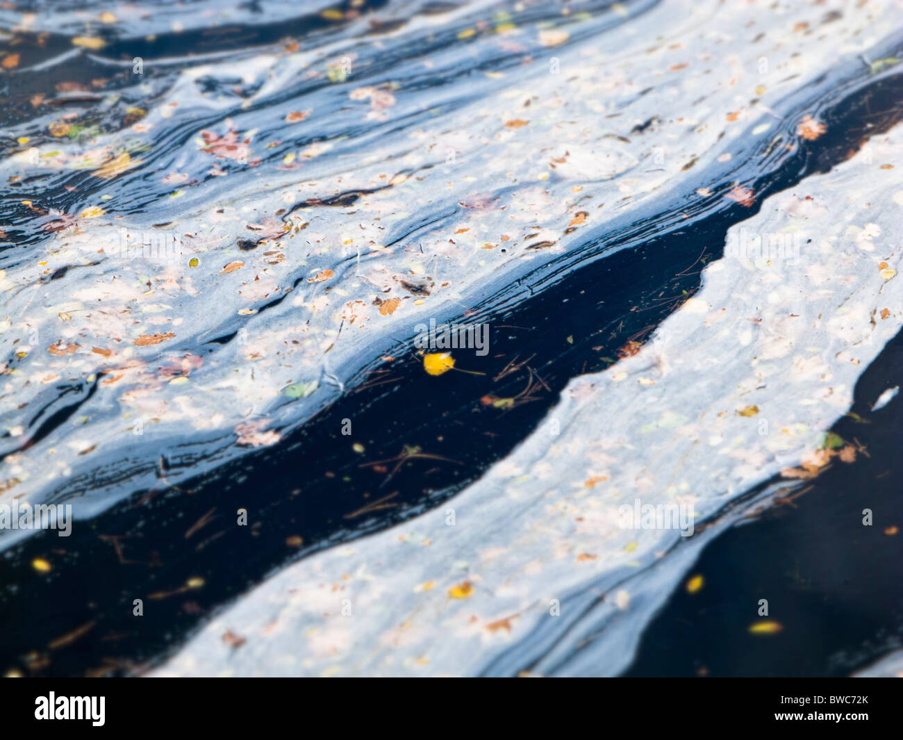 River water pollution - selective focus Stock Photo