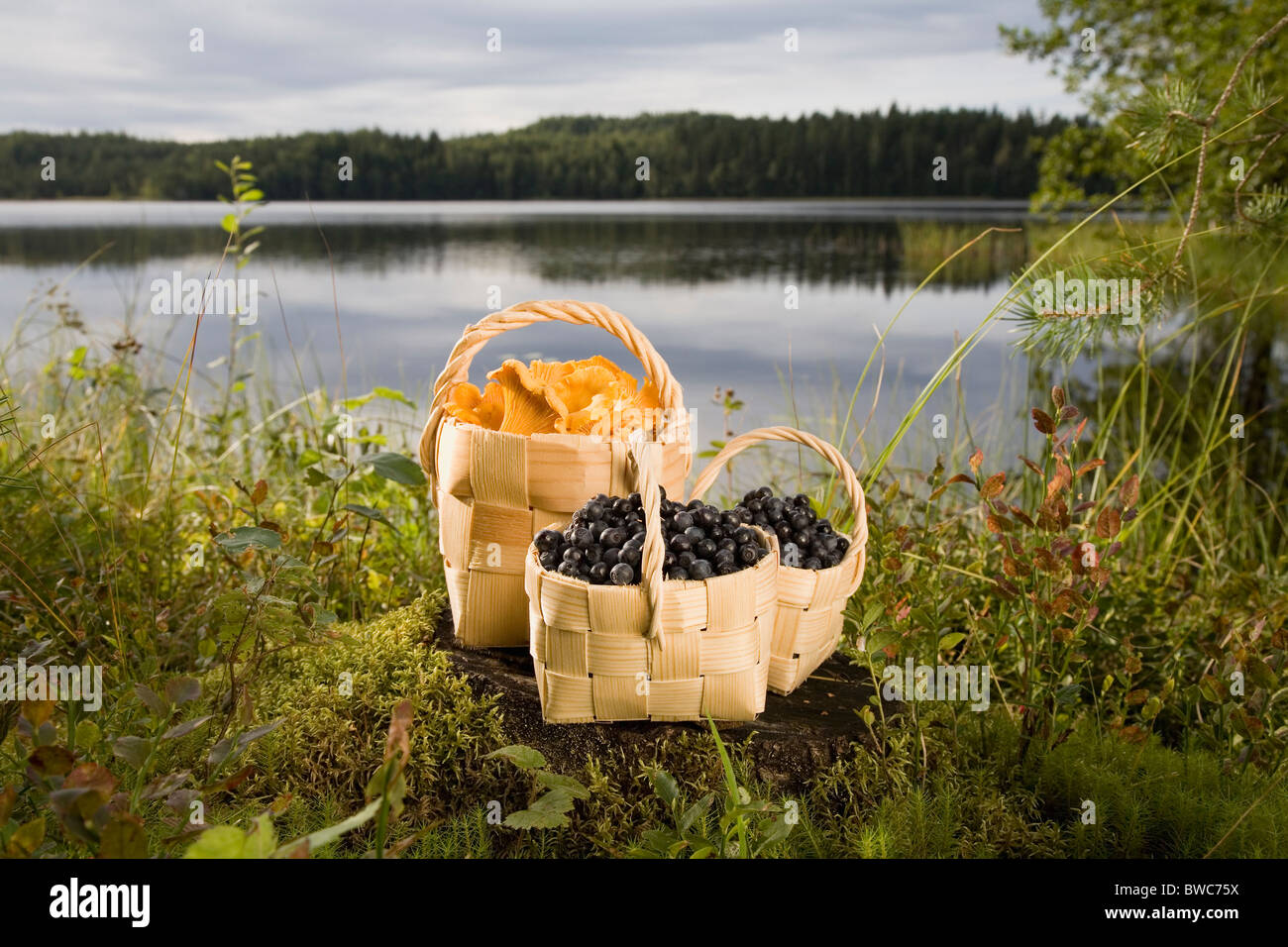 Berries and mushrooms in baskets by lake Stock Photo
