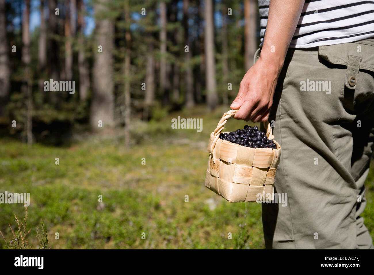 Woman with blueberries in basket Stock Photo