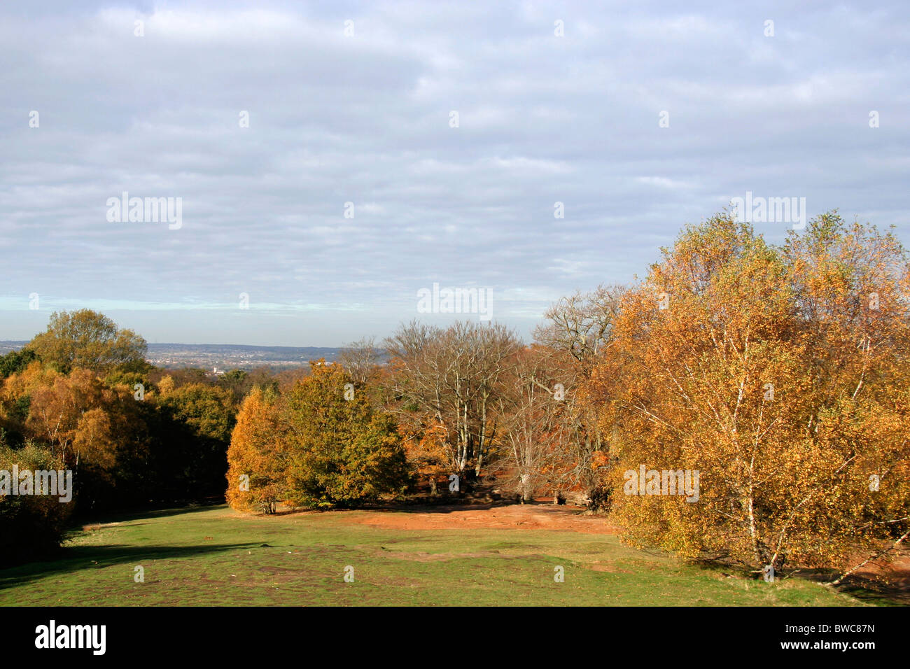 Epping forest landscape hires stock photography and images Alamy