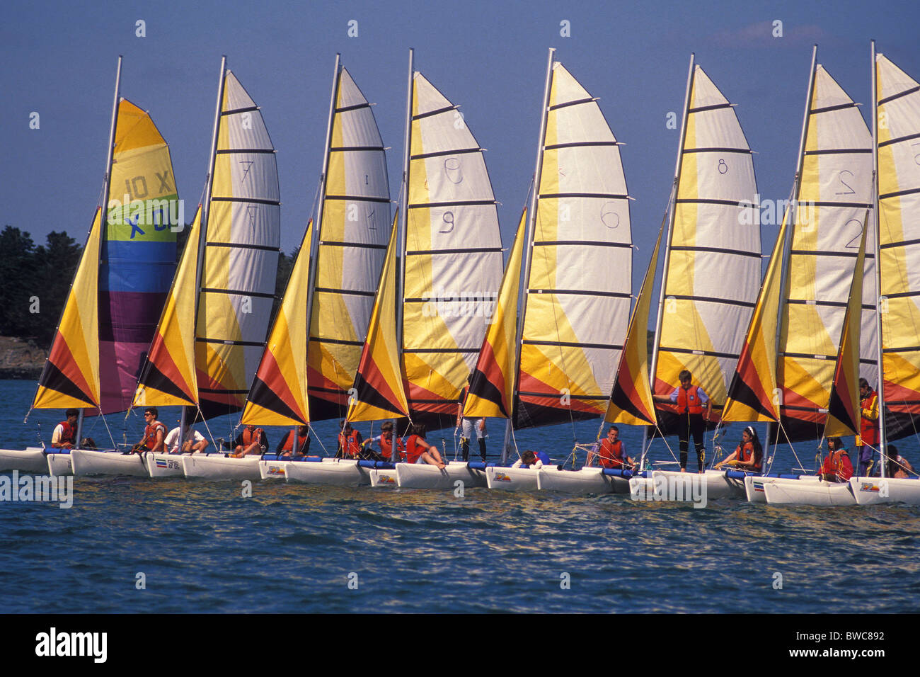 Sailing school with youngsters lined up in New Cat F2 catamarans. La