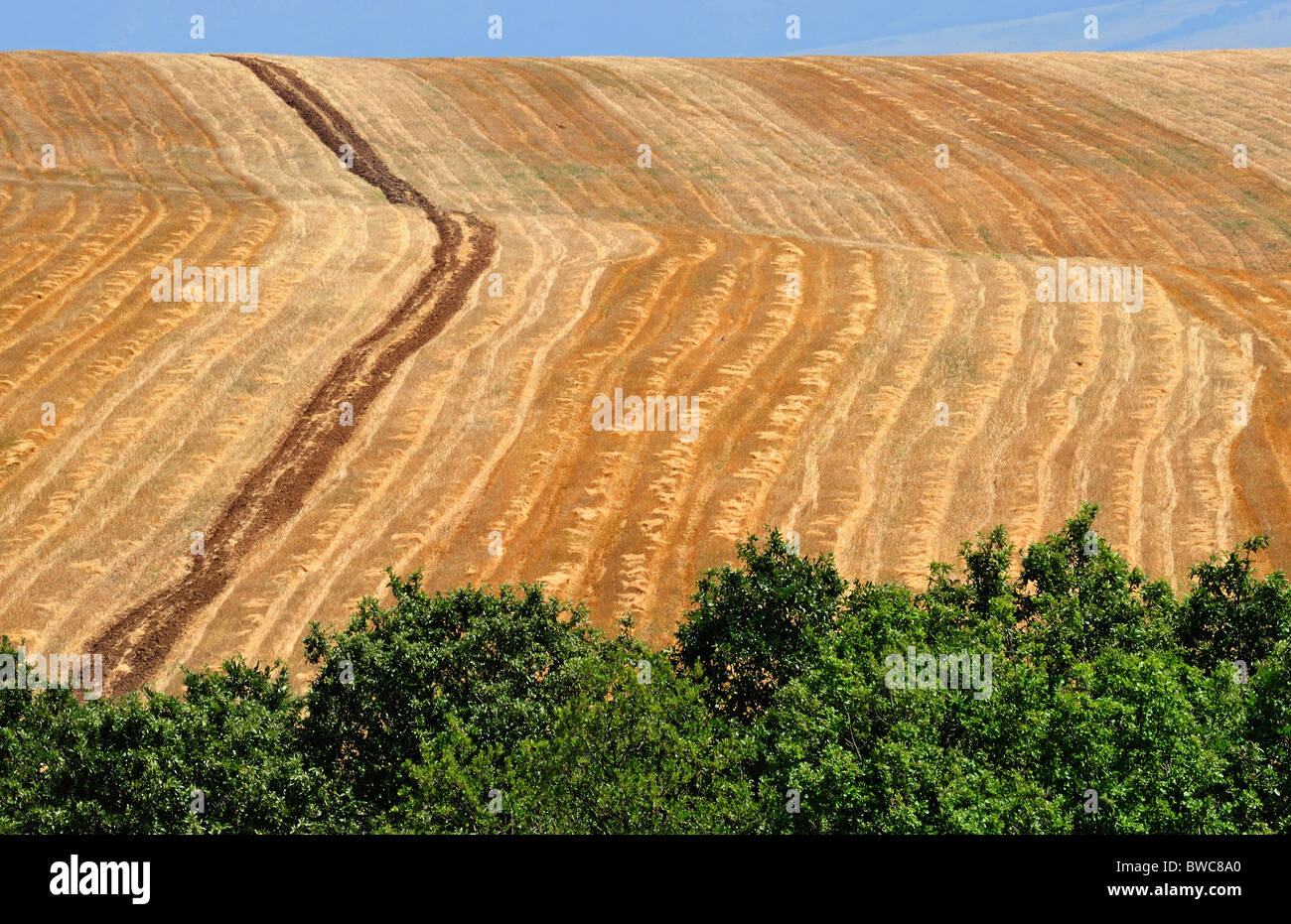 Arable land hires stock photography and images Alamy