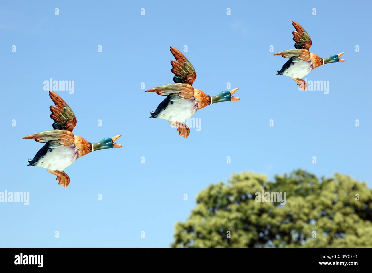 Ceramic Ducks flying over a blue sky and a treetop Stock Photo