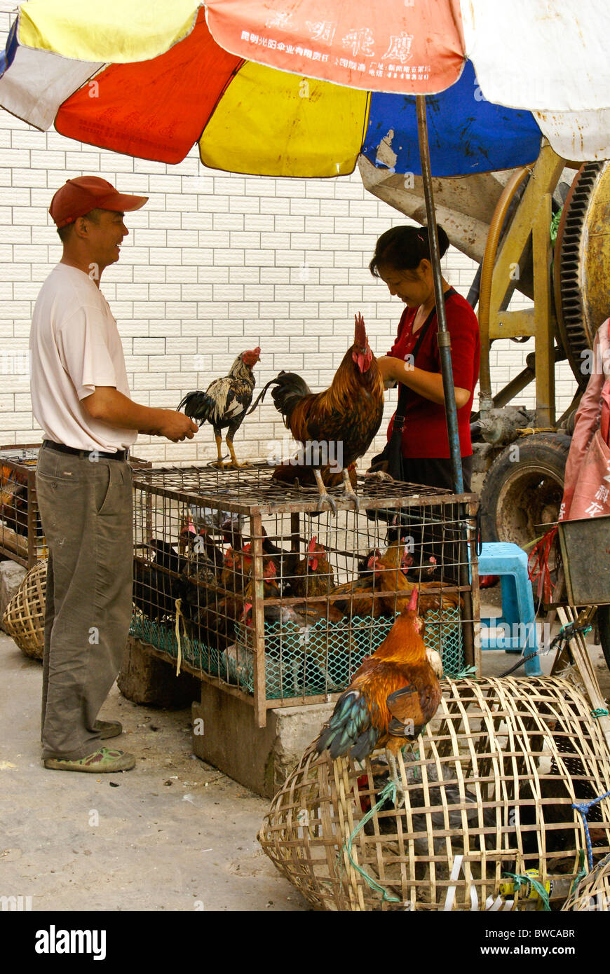 Woman selling chickens in market, Ganlanba (Menghan), Xishuangbanna, Yunnan, China Stock Photo