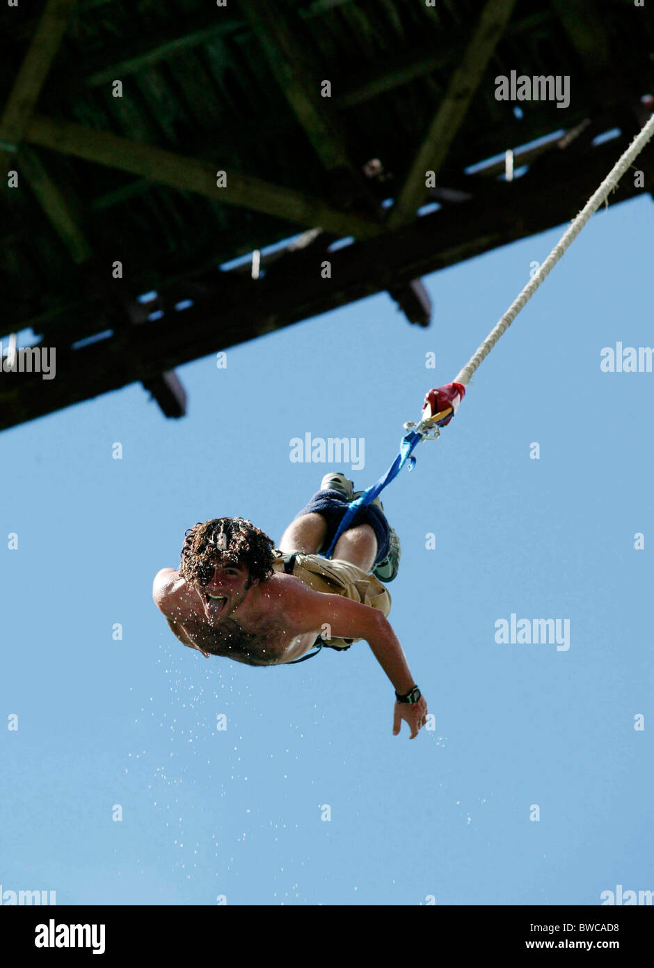 Bungy jumping from the Kawarau Bridge, a 43 metre bungy jump above the Kawarau River, Queenstown, New Zealand. Stock Photo
