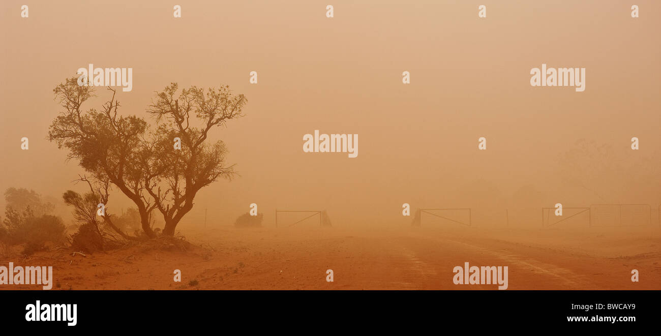 Dust storm in the central Australian desert, covering the landscape and all in it with fine red dust Stock Photo