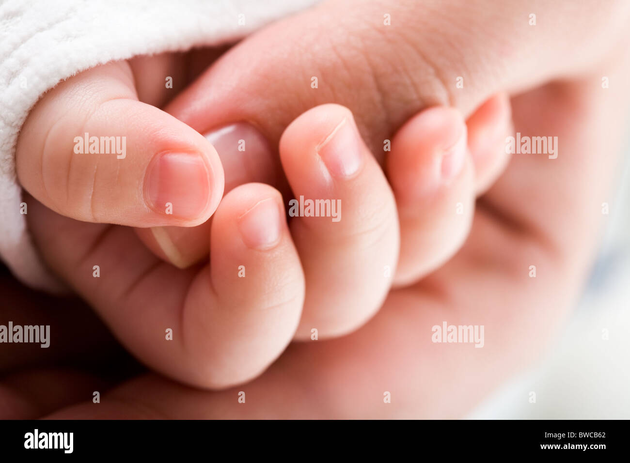Closeup of baby’s hand holding mother’s thumb Stock Photo Alamy