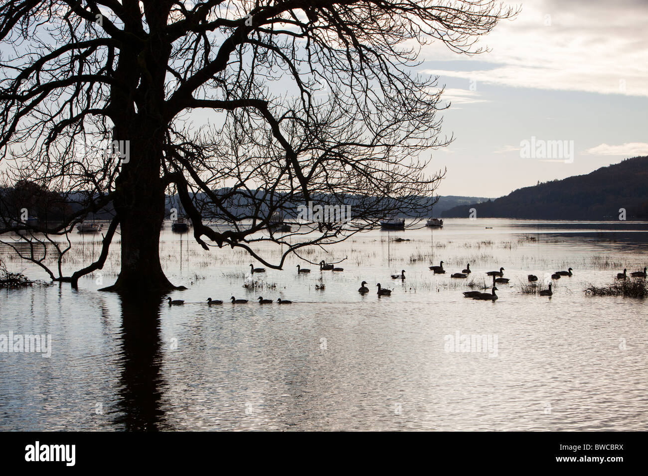 Lake Windermere in the Lake District, UK, is flooding on a regular basis as climate change leads to more frequent severe weather Stock Photo