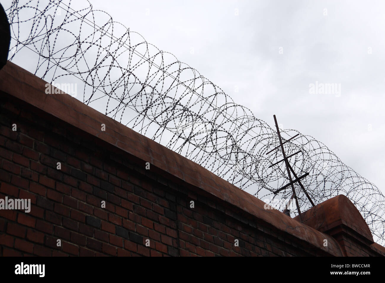 Wall with barbed wire. Stock Photo