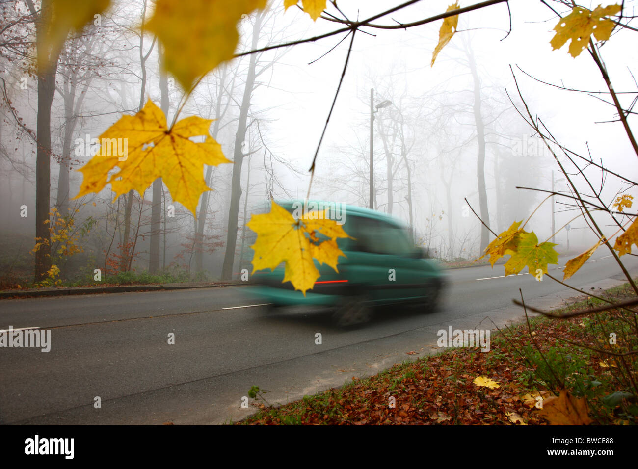 Autumn, thick fog, low visibility on a road. Essen, Germany Stock Photo ...