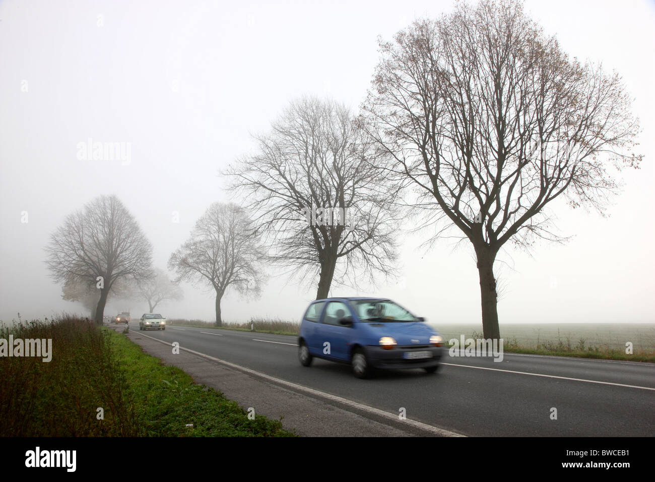 Autumn, thick fog, low visibility on a road. Essen, Germany Stock Photo ...