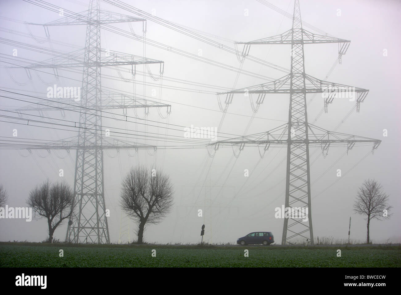Autumn, thick fog, low visibility on a road. Essen, Germany Stock Photo ...