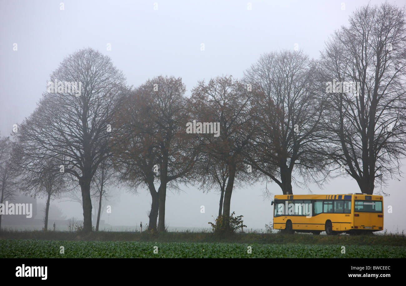 Autumn, thick fog, low visibility on a road. Essen, Germany. Stock Photo