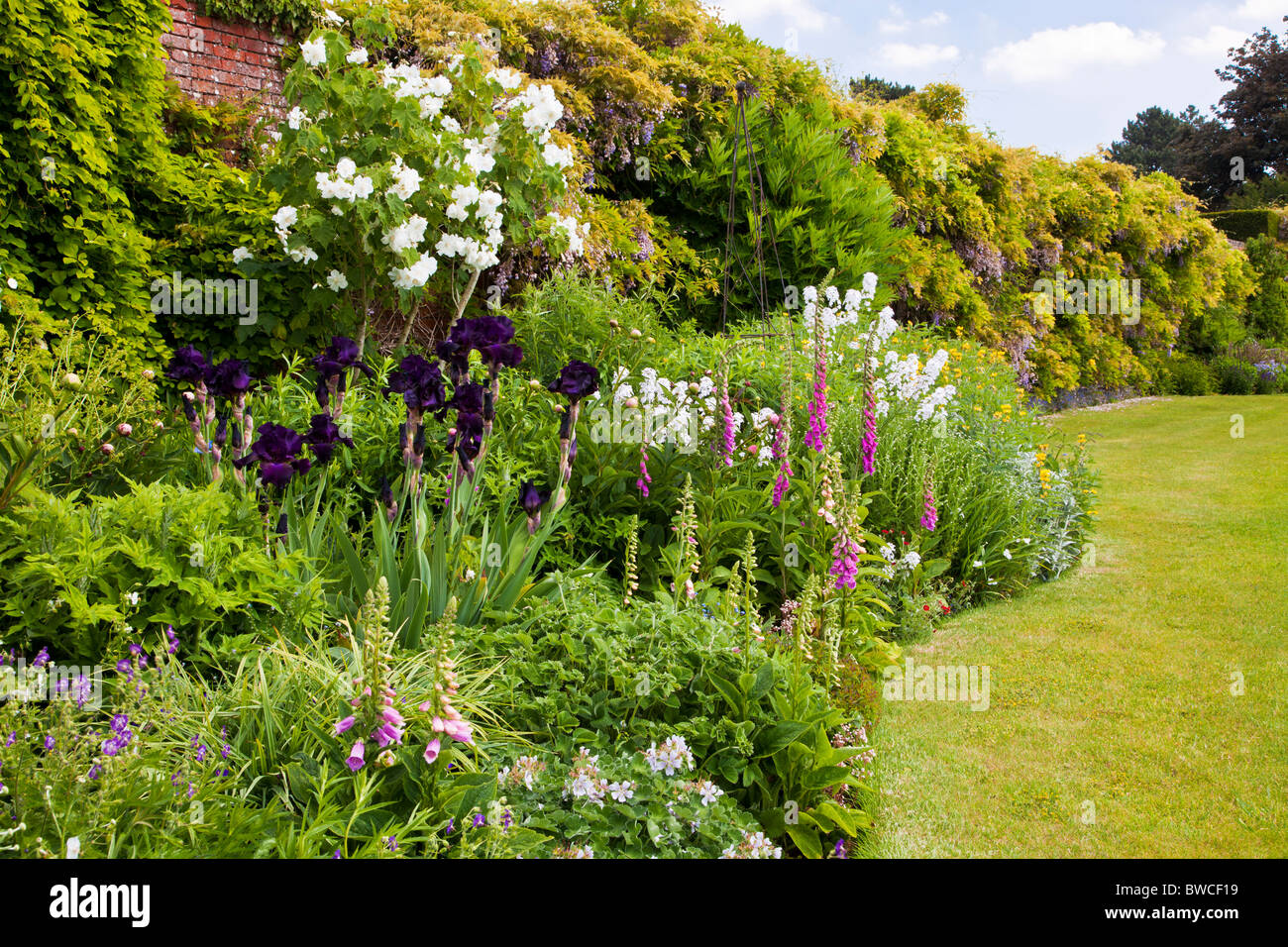 A wavy herbaceous perennial border against a wall at the edge of a lawn in an English country summer garden Stock Photo