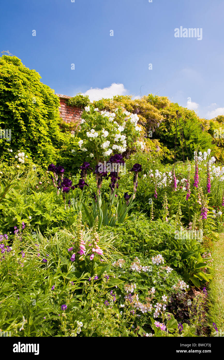 A herbaceous perennial border against a wall at the edge of a lawn in an English country summer garden Stock Photo