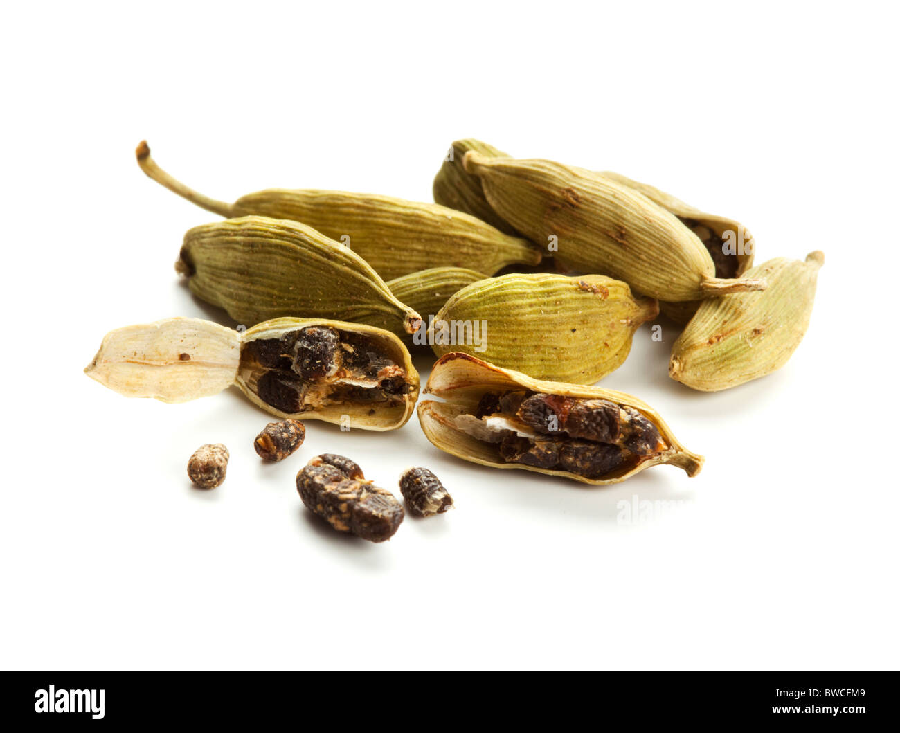 Cardamom plant hires stock photography and images Alamy