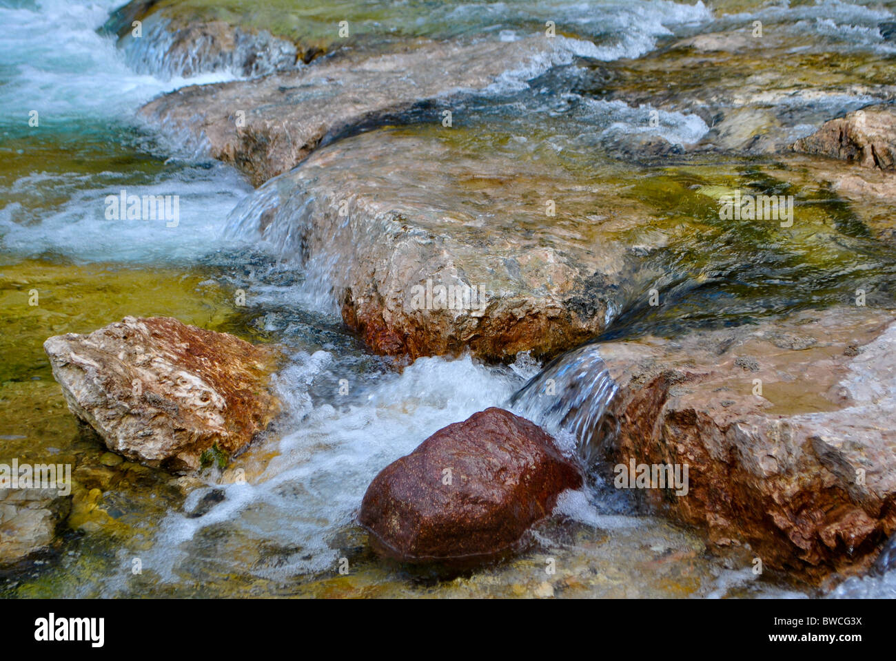 Mountain transparent river green forest hi-res stock photography and ...