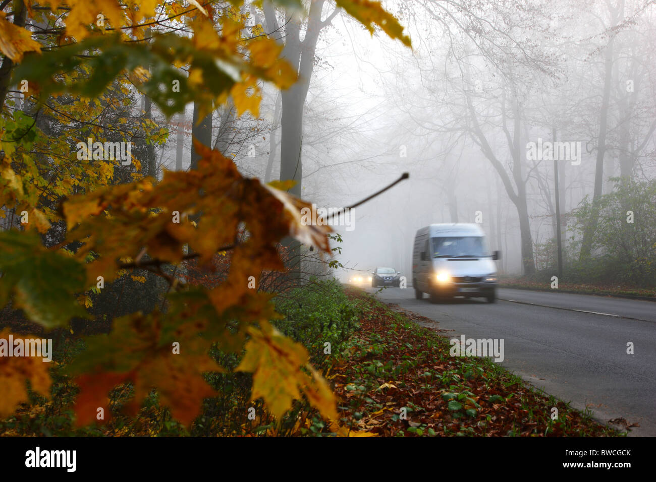 Thick fog lights hi-res stock photography and images - Alamy