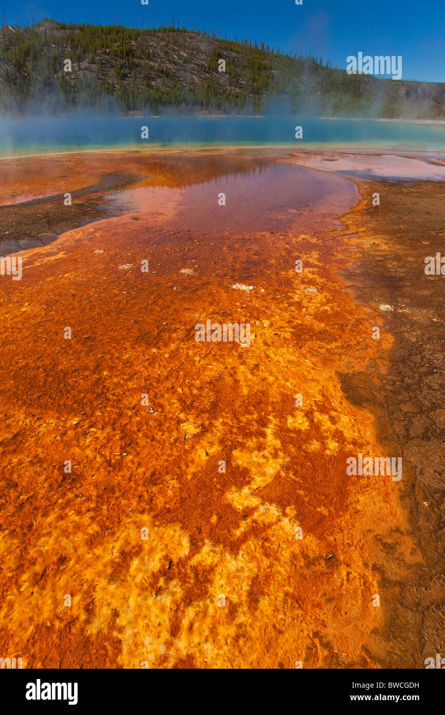 Yellowstone's fabulously colorful and incredible Grand prismatic spring Stock Photo