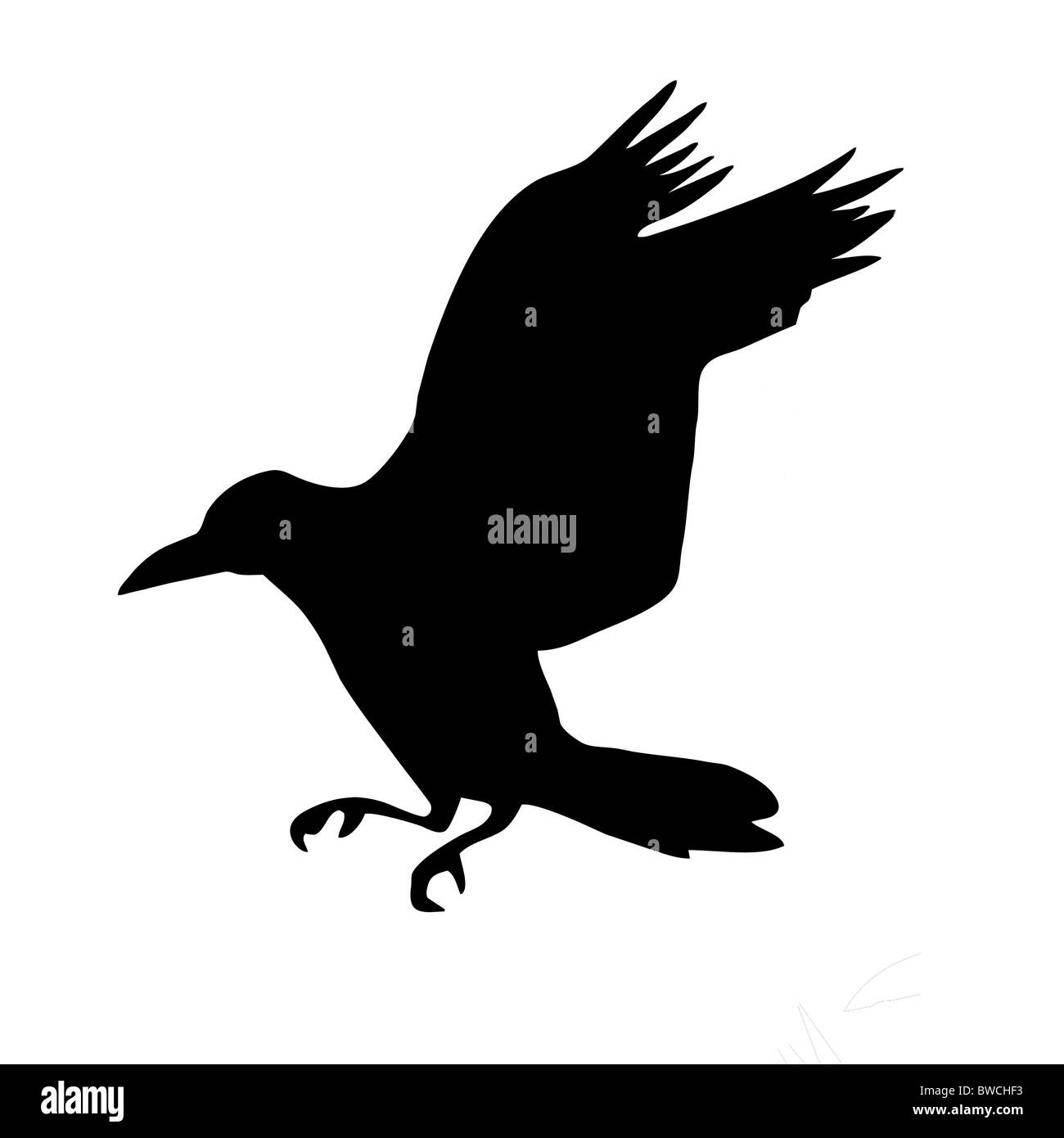 vector silhouette of the raven isolated on white background Stock Photo ...