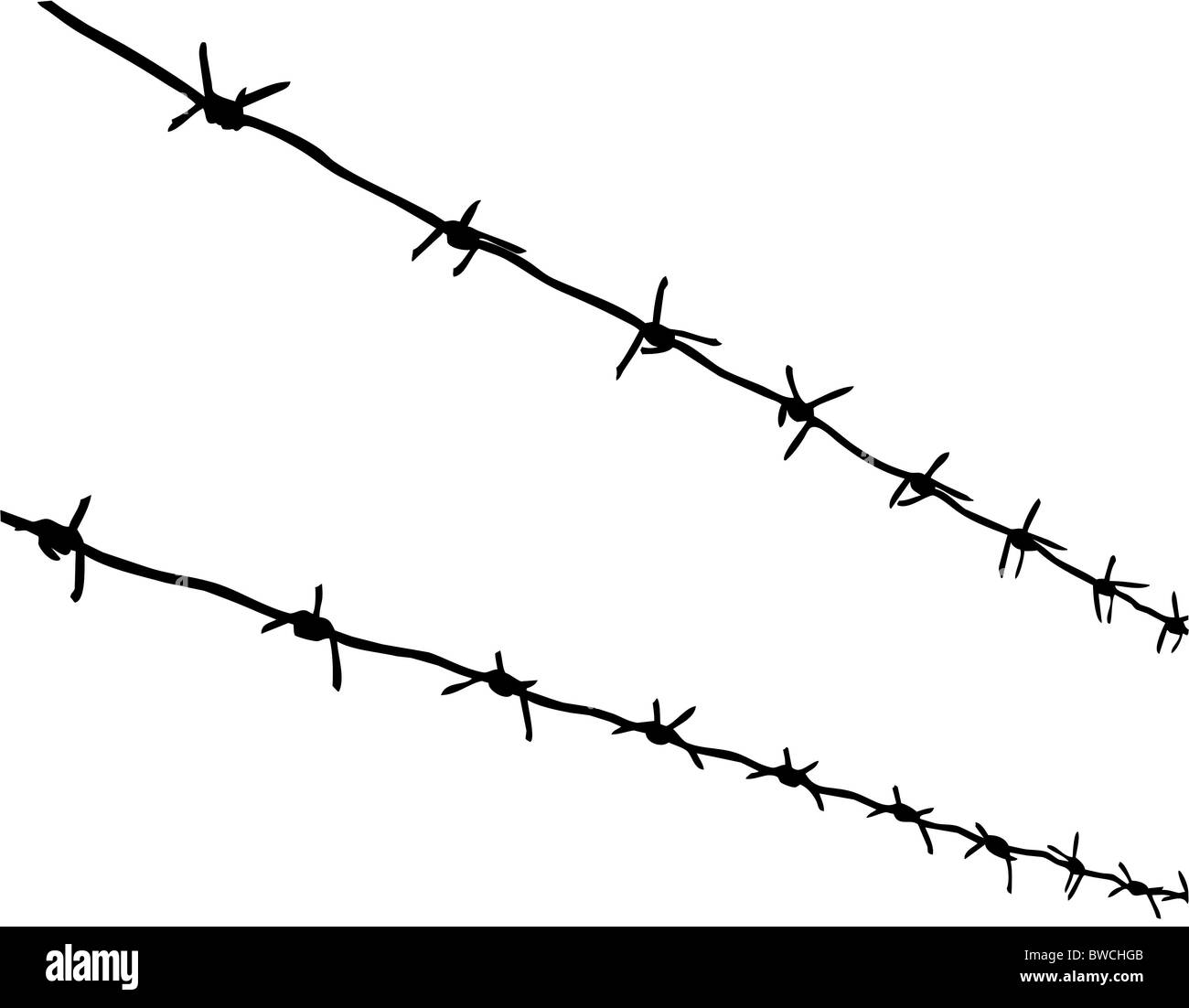 vector silhouette of the barbed wire on white background Stock Photo ...