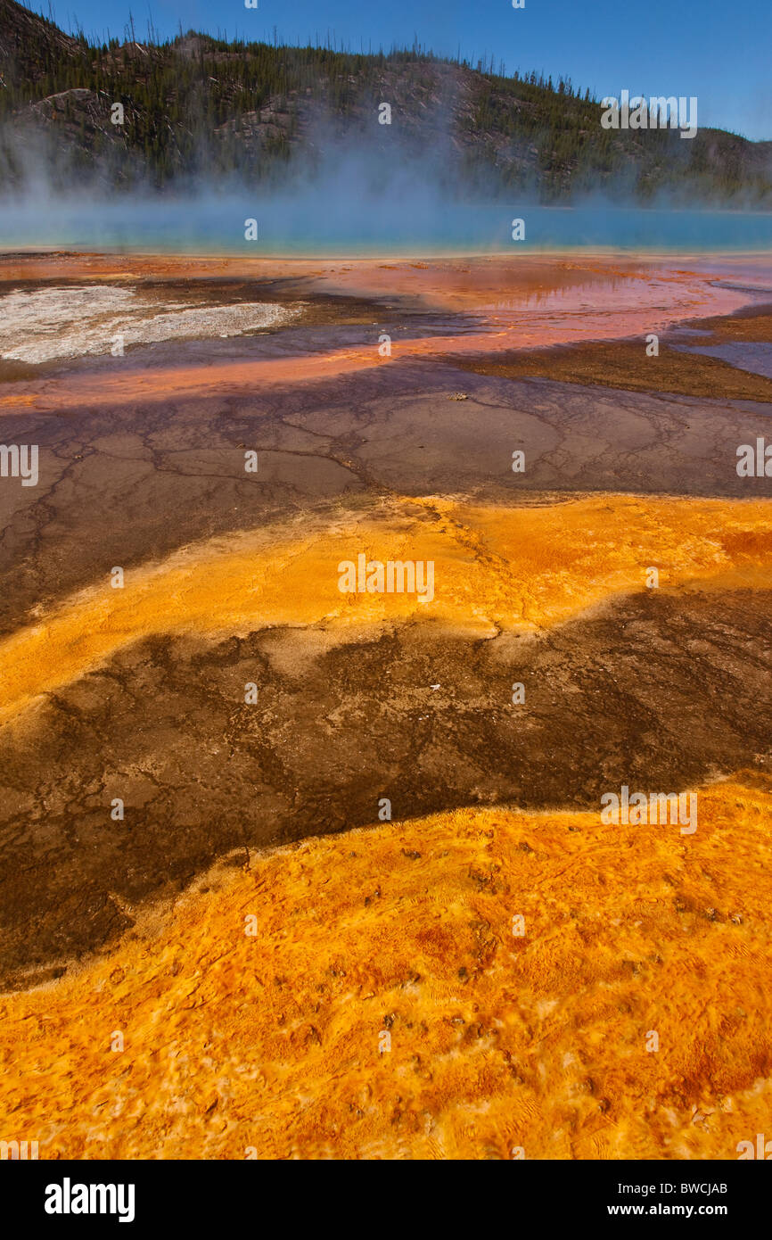 Yellowstone's fabulously colorful and incredible Grand prismatic spring Stock Photo